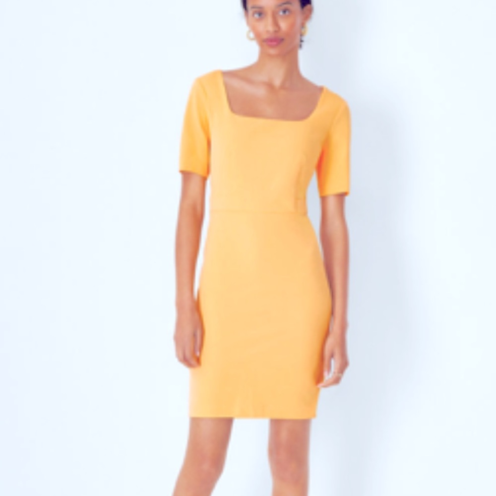 NWOT ann taylor Petite Scoop Neck Short Sleeve Sheath Dress